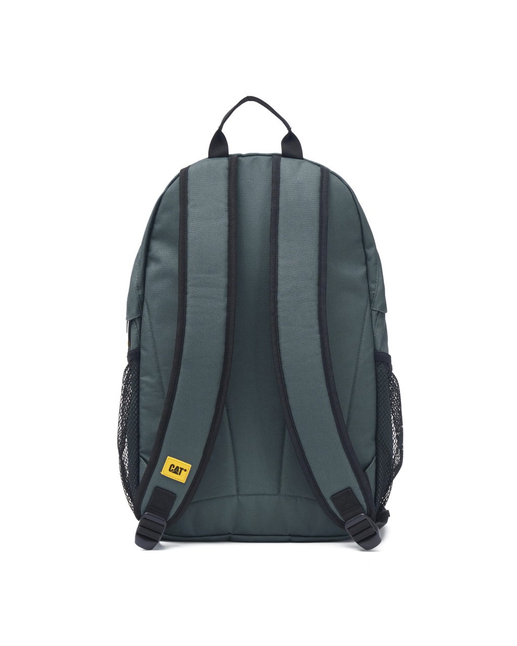 CAT TOKYO RANAC SPINE