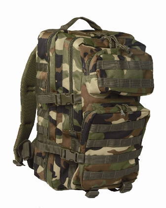 MILTEC ASSAULT II RANAC WL