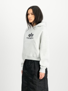 ALPHA INDUSTRIES BASIC WDUKS KAP GREY