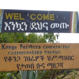 Cafea de specialitate prajita si macinata ETHIOPIA washed Konga Yirgacheffe 500g - Img 2