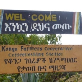 Cafea de specialitate prajita si macinata ETHIOPIA naturala (nesplata) Konga Yirgacheffe 150g cutie - Img 2