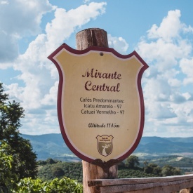 Cafea specialitate prajita boabe BRAZIL FAZENDA SERTAO, YELLOW BOURBON 250g plic - Img 5