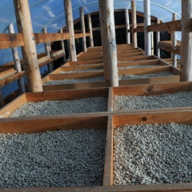 Cafea specialitate prajita boabe GUATEMALA HUEHUETENANGO 250g plic - Img 6