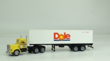 HERPA 140546 Kenworth 40 'Catchel case saddle train 3A/2A - Img 2