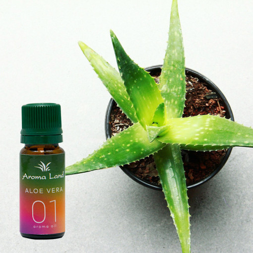 Ulei aromaterapie parfumat Aloe Vera, Aroma Land, 10 ml