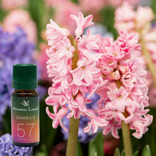 Ulei aromaterapie parfumat Zambila, Aroma Land, 10 ml