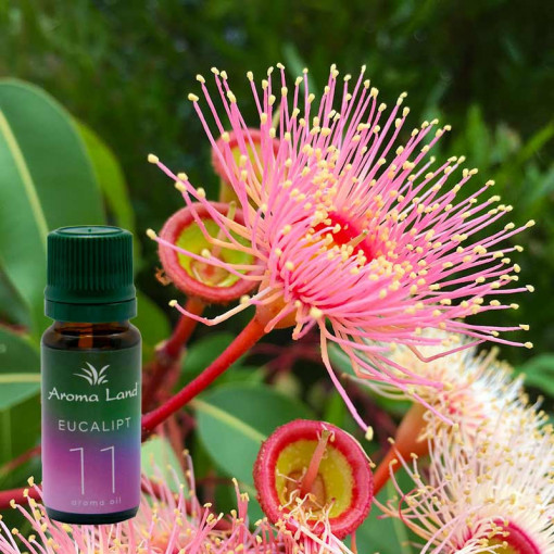 Ulei aromaterapie parfumat Eucalipt, Aroma Land, 10 ml