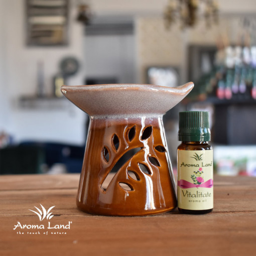 Ulei aromaterapie Violete &amp; Fructe de Padure, Vitalitatea Momentului, Aroma Land, 10 ml