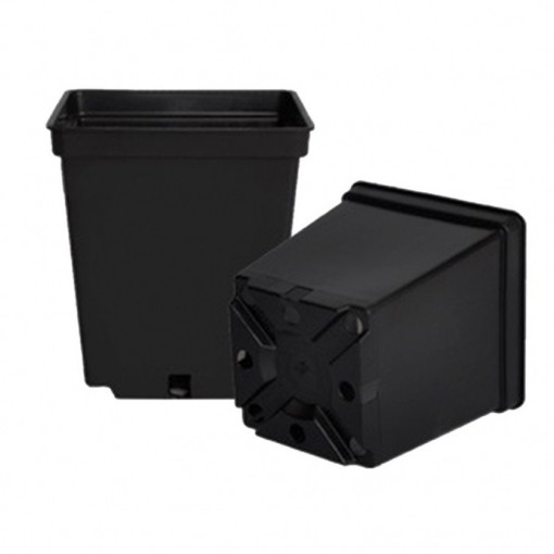 Ghiveci 8x8x7cm patrat, set de 1000 buc
