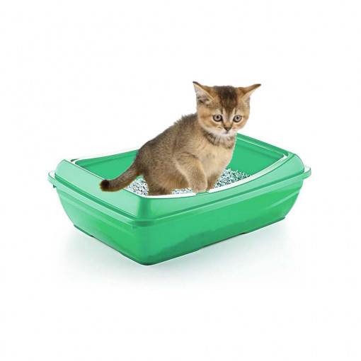 Litiera pentru pisici cu margini si lopatica inclusa, culoare verde