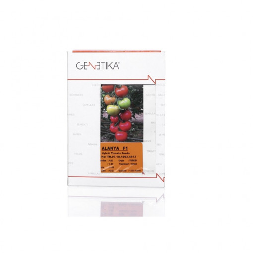 Seminte de Tomate, Alanya F1, 500 Seminte, Genetika