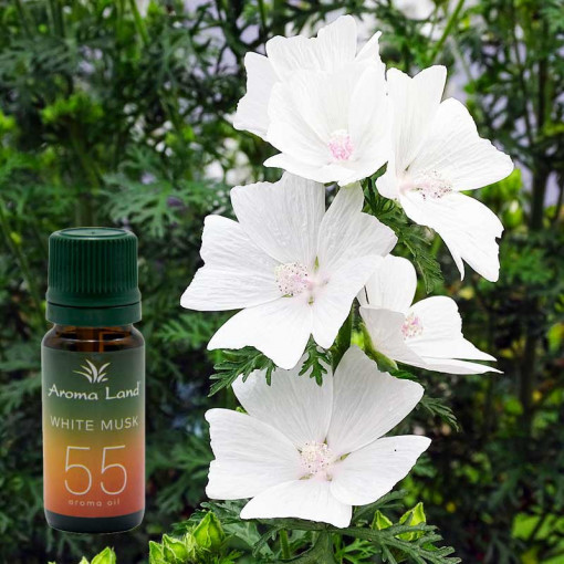 Ulei aromaterapie parfumat White Musk, Aroma Land, 10 ml
