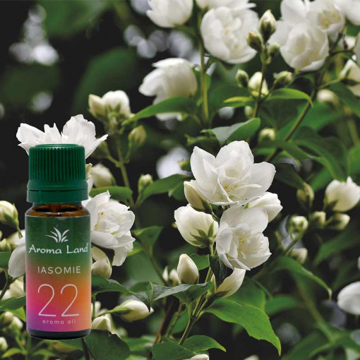 Ulei aromaterapie parfumat Iasomie, Aroma Land, 10 ml