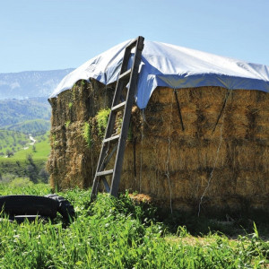 Prelata impermeabila cu inele, tratata UV, dimensiune 8m x 12m