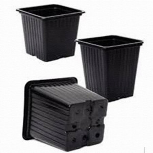 Ghiveci 8 x 8 x 7 cm patrat, set de 4000 buc.