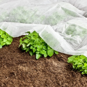 Agril folie microporoasa antiinghet, 23g/m2, 2.2m x 100m