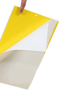 Capcana plansa adeziva 25 cm x 40 cm: 10 buc / set