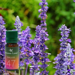 Ulei aromaterapie parfumat Salvie, Aroma Land, 10 ml