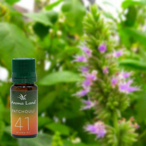 Ulei aromaterapie parfumat Patchouli, Aroma Land, 10 ml
