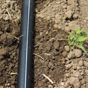 Banda de picurare Powerdrip rola 500ml, picurare din 10 in 10 cm, 2,2l/h