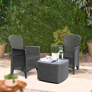 Set mobilier de gradina - terasa cu 2 fotolii si masa, ratan, Tree, antracit