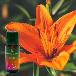 Ulei aromaterapie parfumat Crin, Aroma Land, 10 ml