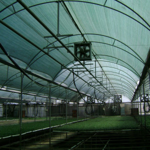 Plasa de umbrire pentru solar, 3m x 50m, 40% densitate grad de umbrire