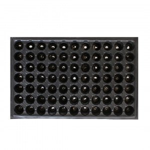 Set de 10 tavi alveolare de 77 celule pentru rasaduri legume si flori