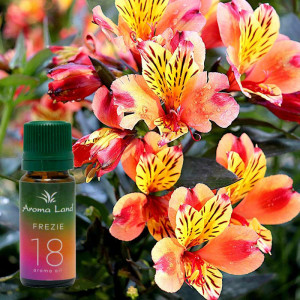 Ulei aromaterapie parfumat Frezie, Aroma Land, 10 ml