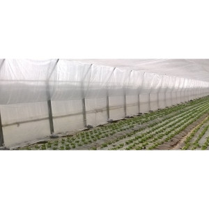 Folie Termica 6.2m x 300m