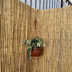 Gard paravan imitatie bambus decorativ, 2.5m x 6m