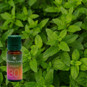 Ulei aromaterapie parfumat Menta, Aroma Land, 10 ml