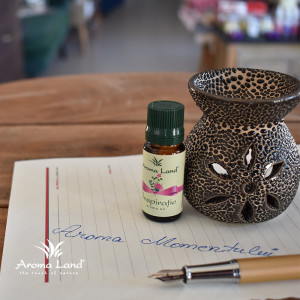 Ulei aromaterapie Aloe & Vanilie, Inspiratia Momentului, Aroma Land, 10 ml