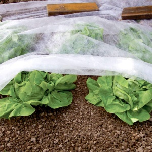 Agril folie microporoasa antiinghet, 23g/m2, 2.2m x 100m