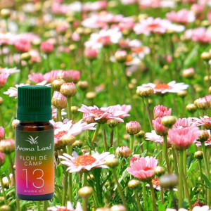 Ulei aromaterapie Flori de Camp, Aroma Land, 10 ml