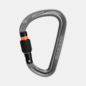 Carabiniera WORKHORSE HMS SCREW GATE