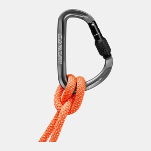 Carabiniera WORKHORSE HMS SCREW GATE - Img 2