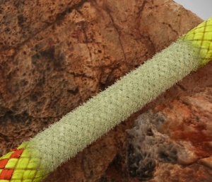 Coarda 9.5 Alpine Core Protect Dry 60 M - Img 3