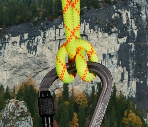 Coarda 9.5 Alpine Core Protect Dry 60 M - Img 5