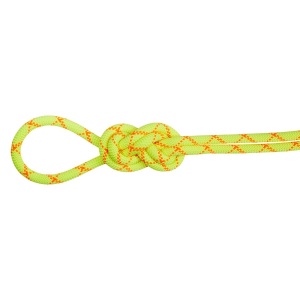 Coarda 9.5 Alpine Core Protect Dry 60 M