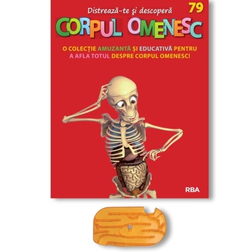 Intestin subțire (spate) - ediția nr. 79 (Corpul Omenesc)