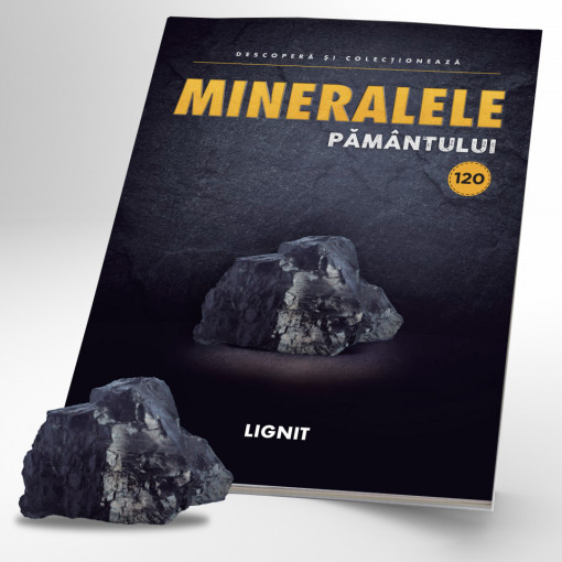 Lignit - ediția 120 (Mineralele Pământului)