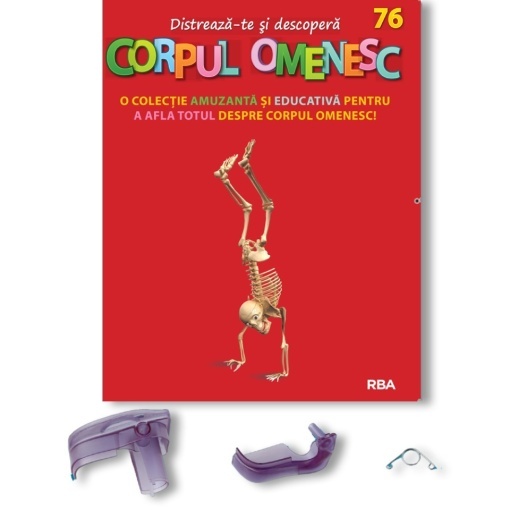 Maxilar superior + Maxilar inferior + Arc - ediția nr. 76 (Corpul Omenesc)