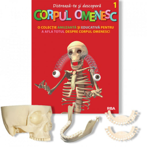 Corpul Omenesc (craniu, mandibulă, dinții de sus și de jos) - ediția nr. 1 (Corpul Omenesc)