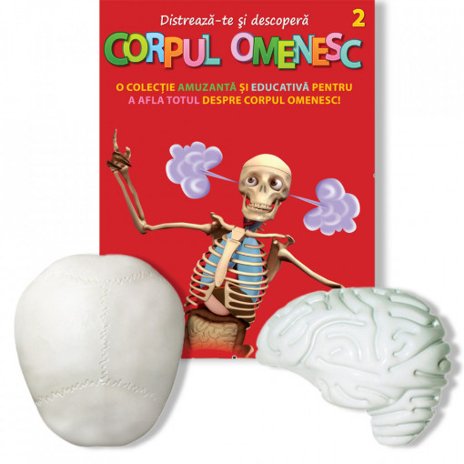 Corpul Omenesc (calota craniană, emisfera cerebrală - stânga) - ediția nr. 2 (Corpul Omenesc)