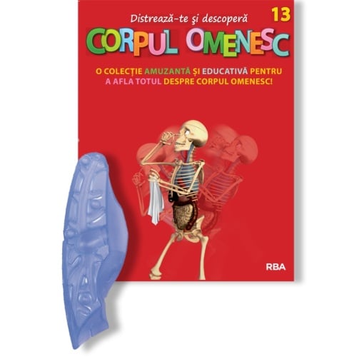 Corpul Omenesc Plămânul stâng nemontat, b + Discuri vertebrale 3 - ediția nr. 13 (Corpul Omenesc)