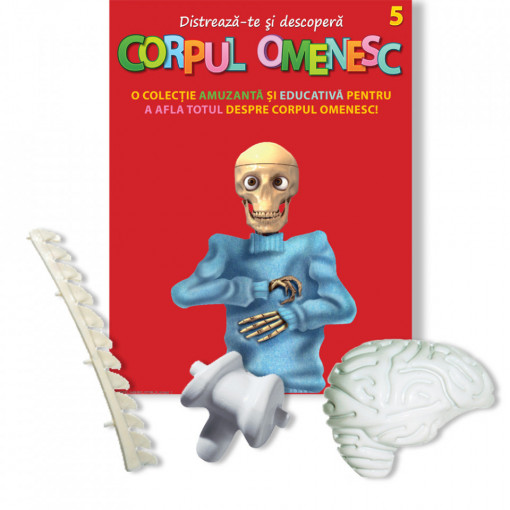 Corpul Omenesc (Emisfera cerebrală dreaptă, vertebre cervicale, bulb rahidian) - ediția nr. 5 (Corpul Omenesc)
