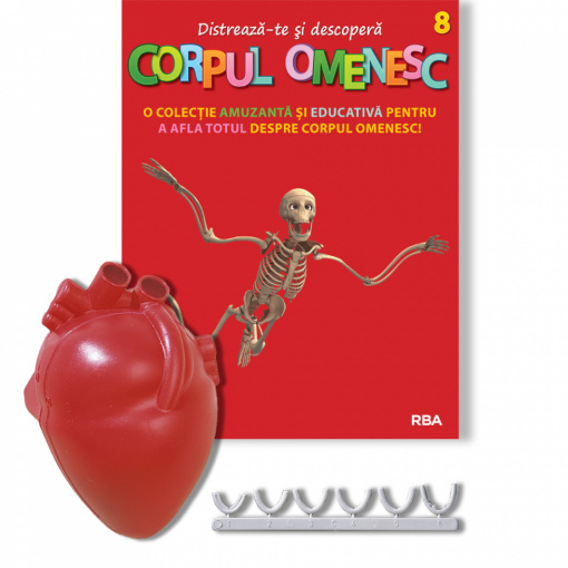 Corpul Omenesc Inimă (partea dreaptă) + Inimă (partea stângă) + Discuri vertebrale 2 - ediția nr. 8 (Corpul Omenesc)