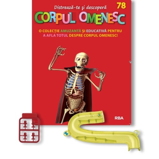 Duoden (față) + Set de 4 şuruburi - ediția nr. 78 (Corpul Omenesc)