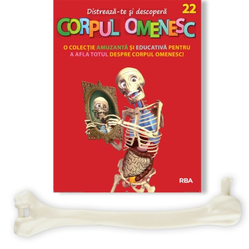 Humerus 1 (stânga) - ediția nr. 22 (Corpul Omenesc)